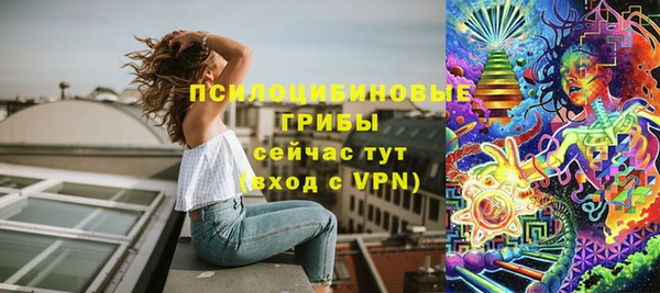 mix Белокуриха