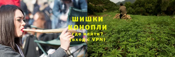 стафф Богородск