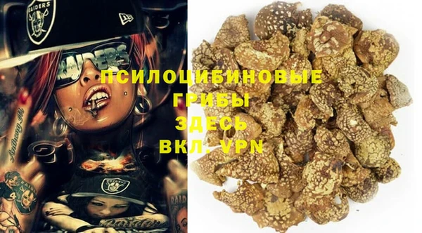 кокаин перу Богданович