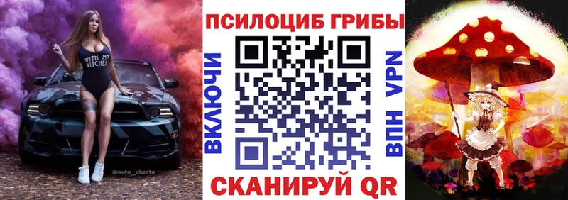 Купить где  Медвежьегорск  Псилоцибиновые грибы MAGIC MUSHROOMS 